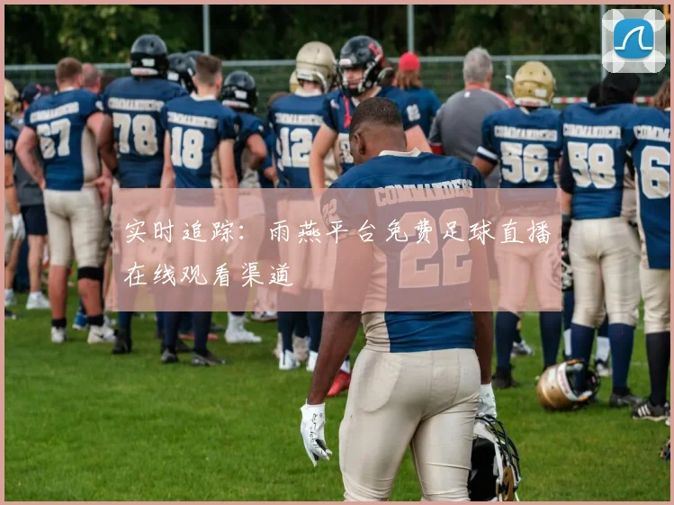 实时追踪：雨燕平台免费足球直播在线观看渠道
